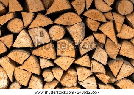 Split hardwood firewood stacked in a row to dry. Dry firewoods texture