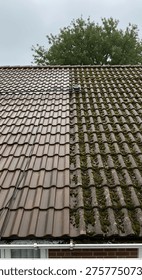 Split image of a rooftop showcasing the dramatic difference between moss-covered brown tiles and clean, newly revealed brown tiles, Exterior, Architecture, Building, Old, Sky, Home, Tile, Tree, Algae