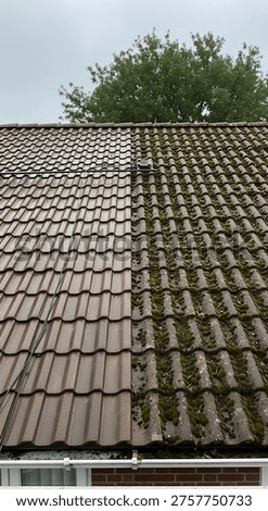 Split image of a rooftop showcasing the dramatic difference between moss-covered brown tiles and clean, newly revealed brown tiles, Exterior, Architecture, Building, Old, Sky, Home, Tile, Tree, Algae