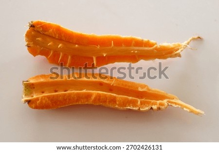 Split open Carrot showing xylem and phloem