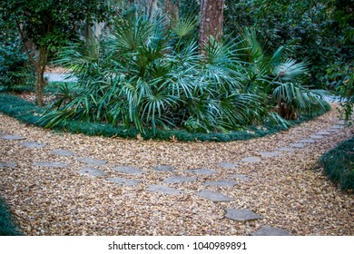Split Pathway Stock Photo 1040989891 | Shutterstock