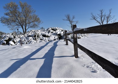 Split Rail Fence On Snowy Day
