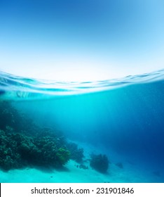 Split Shot Of The Coral Reef Underwater And Sea Surface With Waves