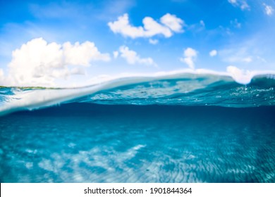 Above Below Ocean Hd Stock Images Shutterstock