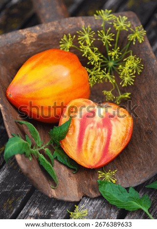 Split to show its vivid marbling, a halved Anacoeur orange with red strips oxheart tomato lies beside its whole counterpart, framed by dill and tomato greens in a rustic scoop. (Solanum lycopersicum)
