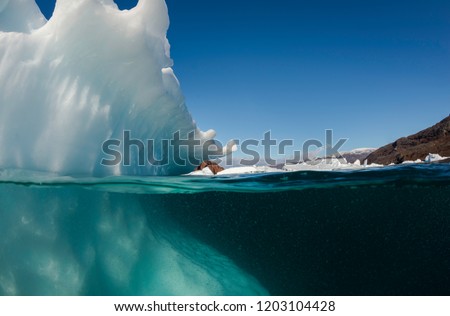 Split view of an iceberg showing above and below the water line, eastern Greenland.