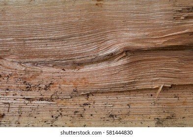 Split Wood