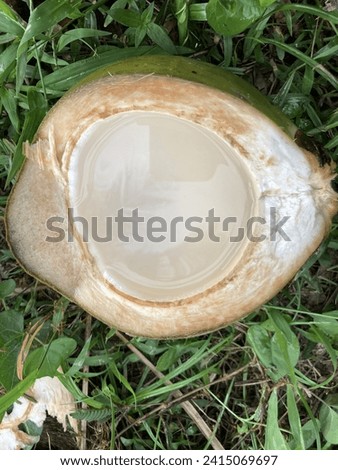 Split from a young green coconut that still has fresh young coconut water