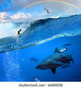 Splitted two parts image extreme story about the ocean and the surfer that sliding a surfing board on wave  and angry hungry bull-shark swimming underwater underneath him