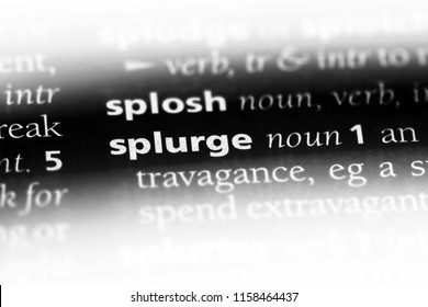 splurge word in a dictionary. splurge concept. - Shutterstock ID 1158464437