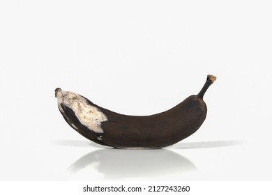 Spoiled banana on a white background with hard shadows and reflection. Organic waste overripe fruit. Ugly foods, fruits. Copy space