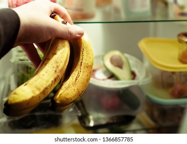 Spoiled Bananas In Hand Against The Background Of An Open Refrigerator.