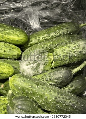 Spoiled cucumbers with mold closeup. Vertical