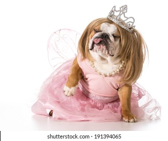 Spoiled Dog - English Bulldog Wearing Princess Costume