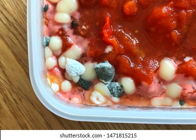 Spoiled Food In Plastic Container. Rotten Tomato Soup, Food Forgotten In The Fridge.