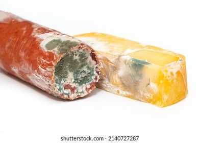 Spoiled food, sausage and moldy cheese on a white background. Mold close-up macro. Moldy fungus on food. Fluffy spores mold as a background or texture. Mold fungus. Abstract background with copy space