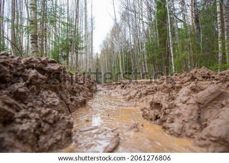 Spoiled forest road. Shooting from ground level. Mud, water, deep rut.