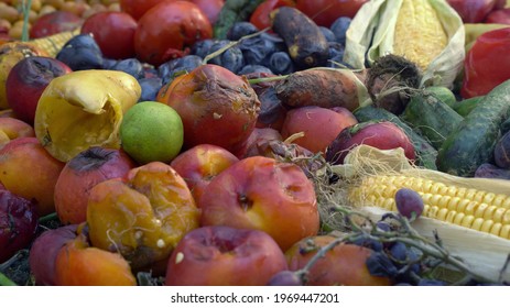 Spoiled Fruits And Vegetables. Food Loss And Food Waste On The Farm. Discarded Rotten Left For Waste After A Market