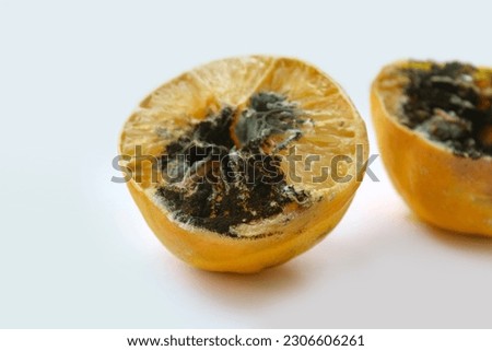 Similar – Image, Stock Photo Moldy lemon Lemon