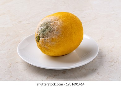 Spoiled Lemon On A White Saucer Close-up. White Green Fungal Mold On A Rotten Citrus Close-up. Fruit Spoiled Due To Storage For Too Long. Food Forgotten In The Fridge. Biodegradable Food Waste. 