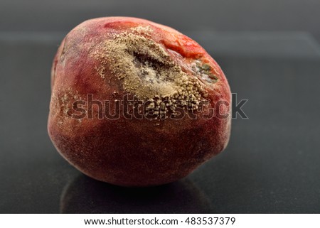 Spoiled and moldy peach on old dark reflective table, unhealthy eating