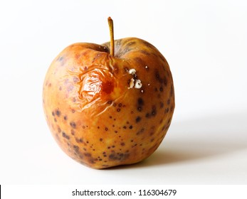 Spoiled One Bad Red Apple On Stock Photo 116304679 | Shutterstock