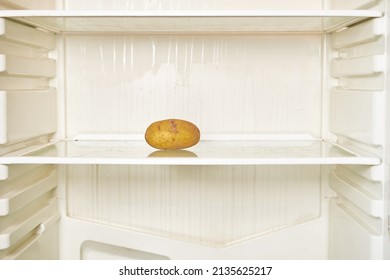 Spoiled Potato Is On The Shelf Of An Empty Refrigerator