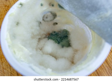 Spoiled Sour Cream With Mold That Has Formed In A Fridge For Several Weeks. Spoiled Food With Fungus, Food Waste, Concept Image.