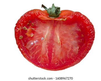 Spoiled tomato isolated white background                              - Shutterstock ID 1608967270