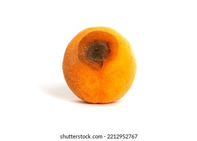 Spoilt apricot rotten isolated on white background. Ugly fruit.