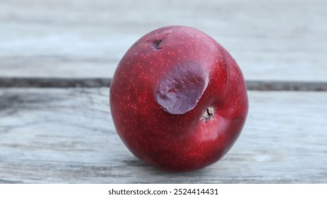 Spoilt decayed dented red apple. Rotten apple fallen with damaged peel
