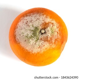 Spoilt grapefruit isolated on white background.