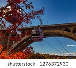 Spokane Fall Views