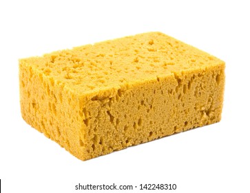 Sponge