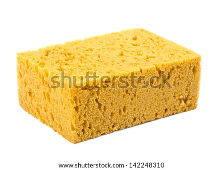 Sponge