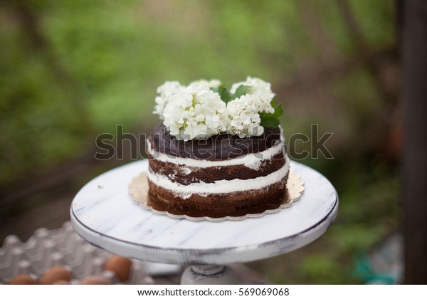 Sponge Cake Decorated Flowers Open Air Stock Photo Edit Now