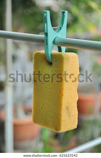 Sponge with clothespin on clothes line at home,\
Bangkok Thailand