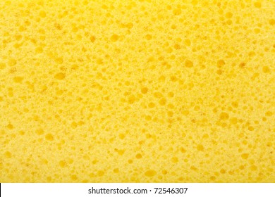 Download Sponge Yellow Images Stock Photos Vectors Shutterstock PSD Mockup Templates