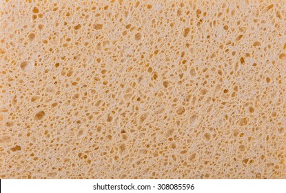 Sponge texture closeup background