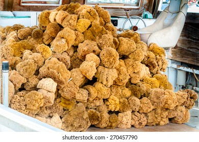 Sponges In Tarpon Springs Florida