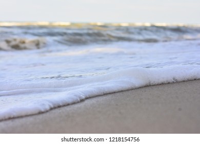Sponges from the waves tossed and then look like a soft blanket covering the sand in the winter. - Shutterstock ID 1218154756