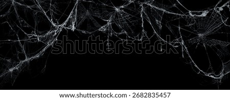 Spooky Cobweb On A Dark Background - Real Creepy Spiderweb - Halloween