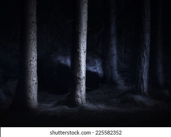 Spooky dark forest with bare tree trunks in blue light