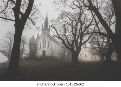 Spooky Dark Forest Scene With Dark And Creepy Looking Trees Lining A Dark Path At A Winters Night.