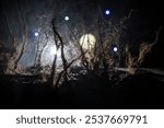 Spooky dark landscape showing silhouettes of trees in the swamp on misty night. Night mysterious forest in fire and dramatic cloudy night sky