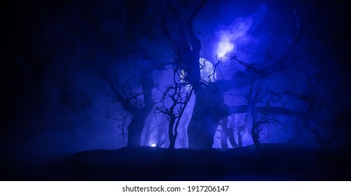 Spooky dark landscape showing silhouettes of trees in the swamp on misty night. Night mysterious forest in cold tones . Tree branches against the full moon and dramatic cloudy night sky
