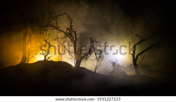 Spooky dark landscape showing silhouettes of trees in\
the swamp on misty night. Night mysterious forest in fire and\
dramatic cloudy night\
sky