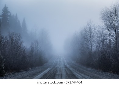 Spooky Fog And Bad Visibility On A Rural Road In Forest During Winter