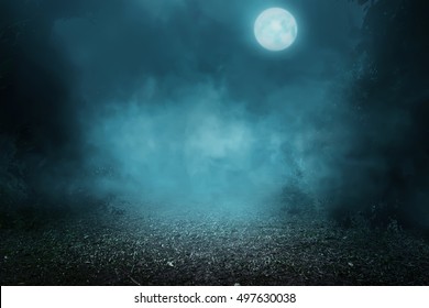 Spooky Foggy Forest On The Moonlight