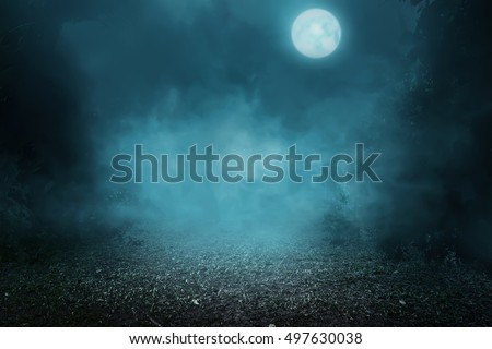 Spooky foggy forest on the moonlight
